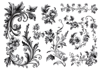 Ornate floral design elements black and white vintage style isolated on transparent background