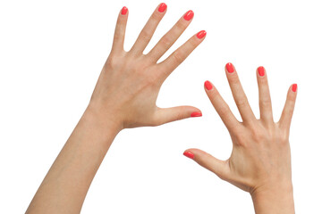 female hands isolated on white,PNG