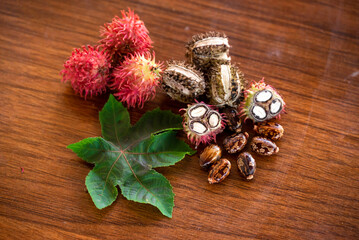 Castor oil bottle with castor fruits, seeds and leaf. Ricinus Communis plant oil.