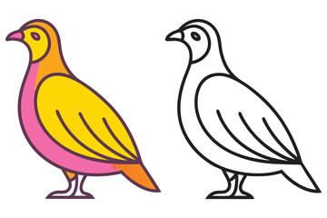Colorful Bird Illustration with Line Art Version Bird Images Showing Two Styles of a Quail a Pink and Yellow Bird and a Black and White Outline Bird