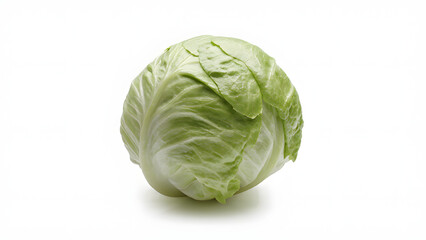 Fototapeta premium A head of iceberg lettuce with crisp, tightly packed green leaves