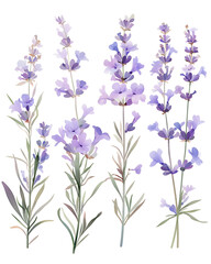 Naklejka premium Creative 2D Doodle Floral Illustrations on White Background