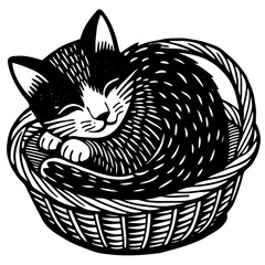 Fototapeta premium cat in a basket