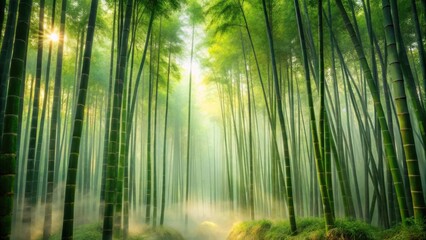 Dense bamboo grove at dawn with misty atmosphere and vibrant green stalks
