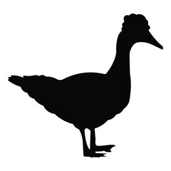 Black color duck silhouette  vector illustration on a white background design. 