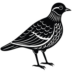 create a hybrid bird combining features of two