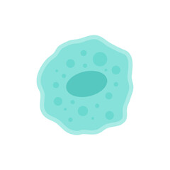Apoptosis  cell.  Programmed cell death. Apoptotic bodies and phagocytosis. vector illustration.