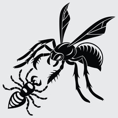 A wasp stinging a tarantula image silhouette design vector art and illustration