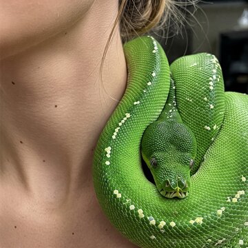 green snake on neck