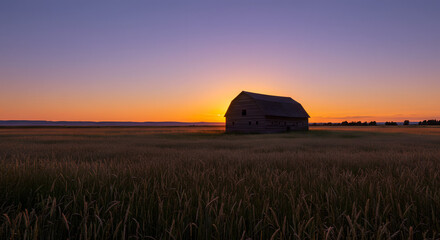 Tranquil Summer Sunset in Rural Montana with a Rustic Barn and Swaying Rye Field

