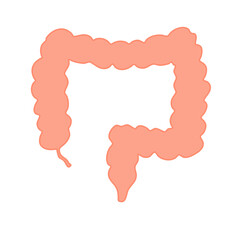 Appendix Anatomy Science. Vector Illustration