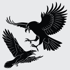 A hawk battling a crow image silhouette design vector art and illustration