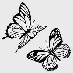 Two butterflies in a mid-air skirmish image silhouette design vector art and illustration