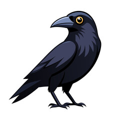 Fototapeta premium crow or raven no background