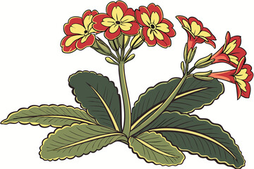 94 Vibrant kalanchoe plant, blooming red and yellow flowers, lush green leaves, botanical illustration, white background, high detail, macro photography, realistic texture, bright colors, houseplant, 