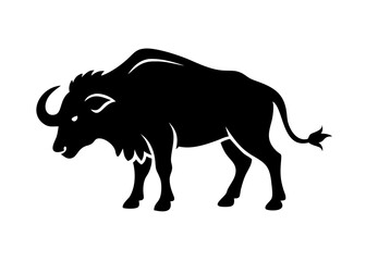 Obraz premium Silhouette of a Buffalo with 