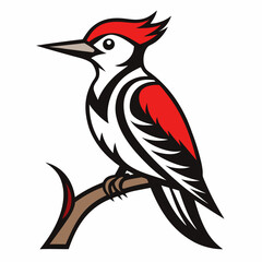vector illustration of a bird