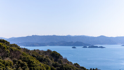 Fototapeta premium 日本周遊 和歌山県有田市みかん街道をゆく