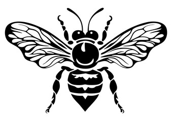 Art Nouveau bee Graphic Accents, vector illustration, vintage elements	
