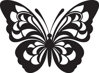 A butterfly with a black and white background
