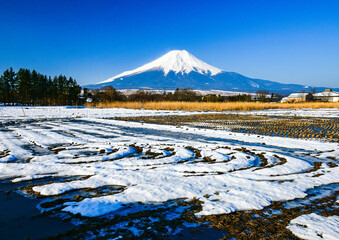 忍野村から富士山と雪景色