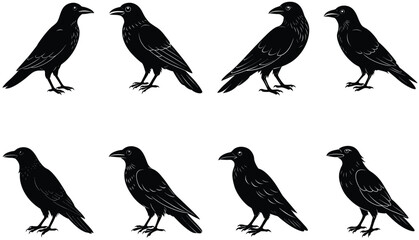 Crows Vector Shilhouette Bundle Set Collection