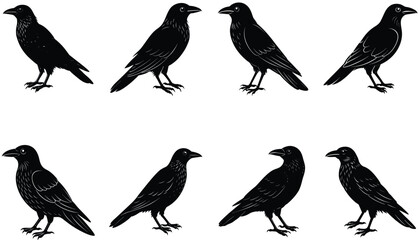 Crows Vector Shilhouette Bundle Set Collection