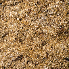 Sawdust as a texture - square.