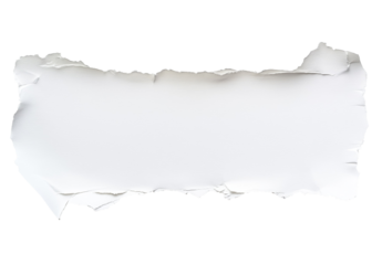 Torn white paper strip isolated on white and transparent background
