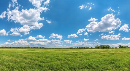 green grass and blue sky
