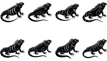 Iguana Vector Shilhouette Bundle Set collection