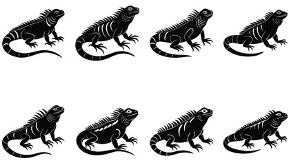 Iguana Vector Shilhouette Bundle Set collection