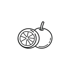 Orange fruit hand drawn outline illustration