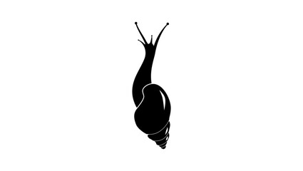 snail top view, black isolated silhouette