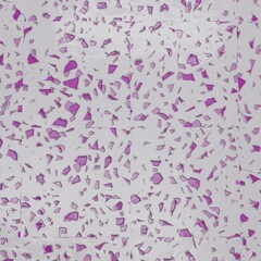 Luxury Tiles for a Timeless Look – Transform Your Space Today