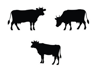 A captivating collection of cow silhouettes showcasing their grace and strength in various poses. Vector illustration.