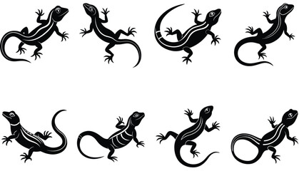 Lizard Vector Shilhouette Bundle Set collection