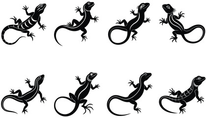 Lizard Vector Shilhouette Bundle Set collection