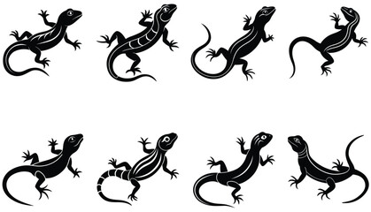 Lizard Vector Shilhouette Bundle Set collection