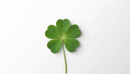 Four-Leaf Clover on White Background