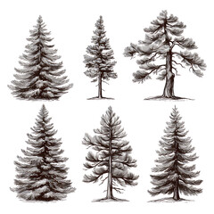 Obraz premium .Illustration of trees, leaves, grass and various botanical elements on a white background.