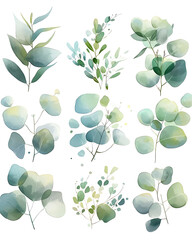 Obraz premium .Illustration of trees, leaves, grass and various botanical elements on a white background.