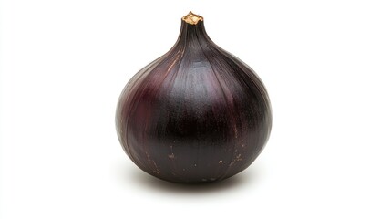 Fototapeta premium A fresh water chestnut with a dark brown shell, isolated on a white background