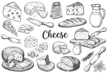 A Delicious Collection of Cheeses: Hand-Drawn Sketches of Various Cheese Types, Bread, and Culinary Utensils