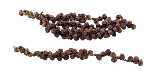 black pepper on the vine, isolated on white background.