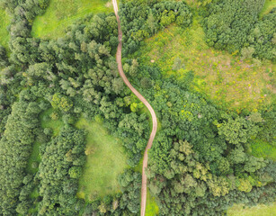 View from Above of a winding country road between the green forest in summer time.