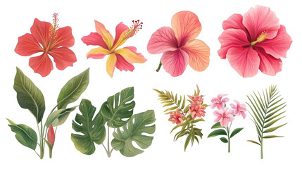 Fototapeta premium Colorful Tropical Flowers and Leaves Isolated on White Background