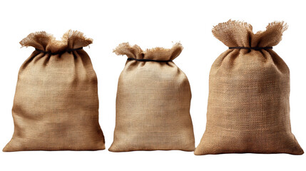 Natural Fabric Bags Filled with Items Set on White Background