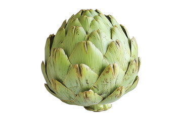Single fresh green artichoke with detailed texture isolated on white transparent background. Concept of healthy eating, organic food, and vegetarian diet