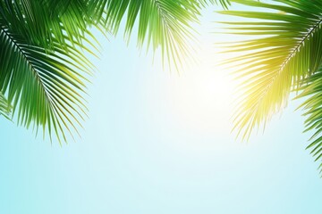 Lush green palm leaves frame a bright sky, creating a tropical and serene atmosphere with sunlight filtering through.